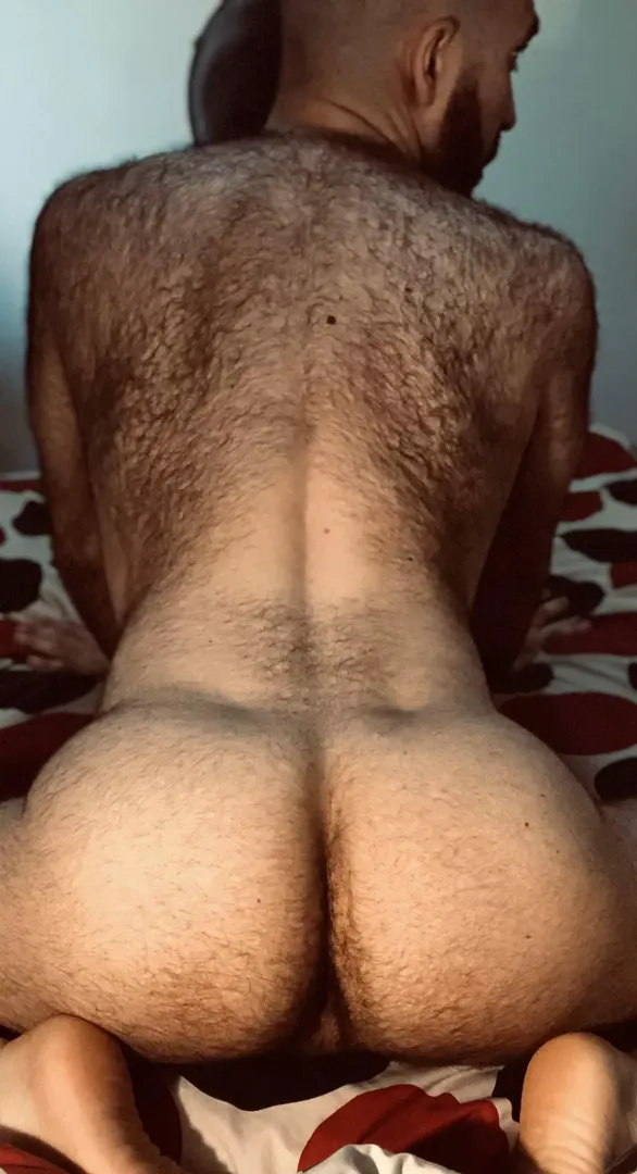 Rub my hairy back? posted by BanDiglett