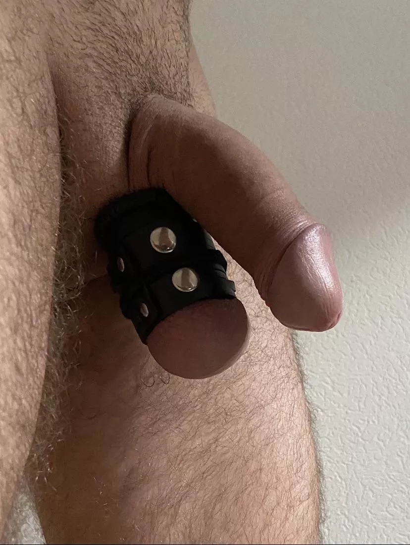 Wearing it all day long drenches my underwear in precum. 💧 posted by Days_Gone_Ever