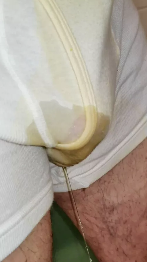 Wetting my musky, pissy briefs 🐽 by JKPig66