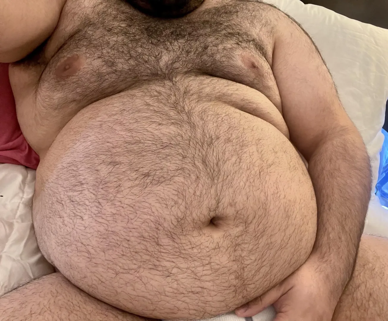 Who likes bellies? by BigOlBull96