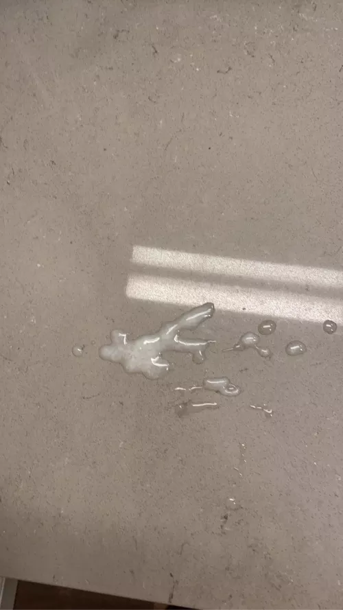 Who’s gonna lick it up? by GayMonsterCock