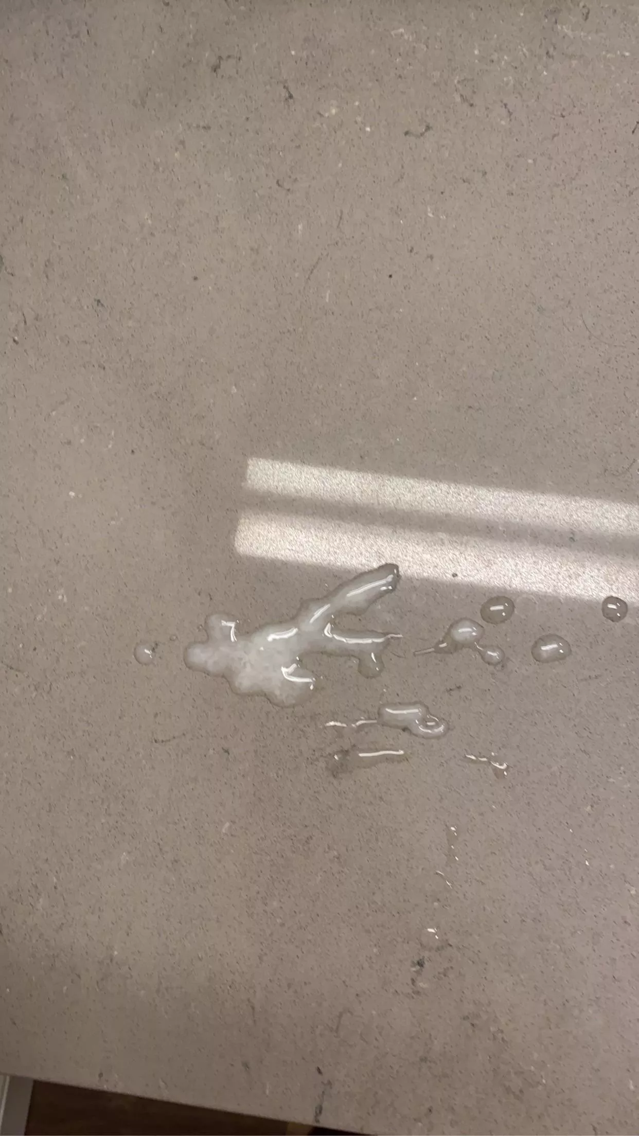 Who’s gonna lick it up? posted by GayMonsterCock