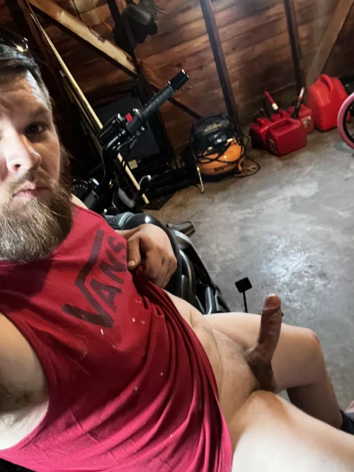 You want to take a ride by miebrewe