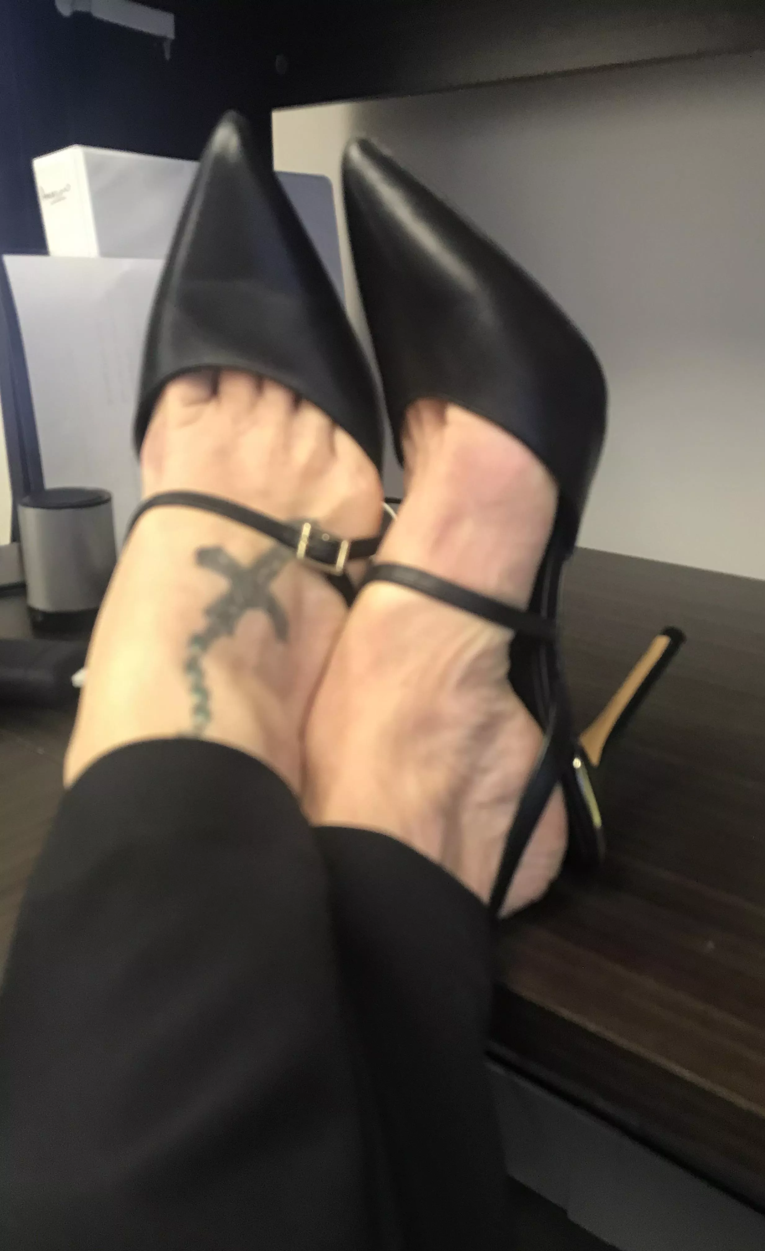 Boss… posted by mypics4you99