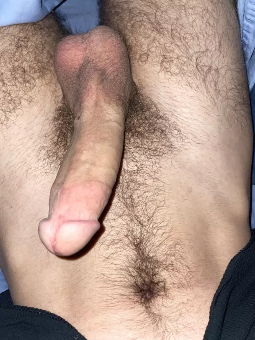 Bush update by suave_johnson