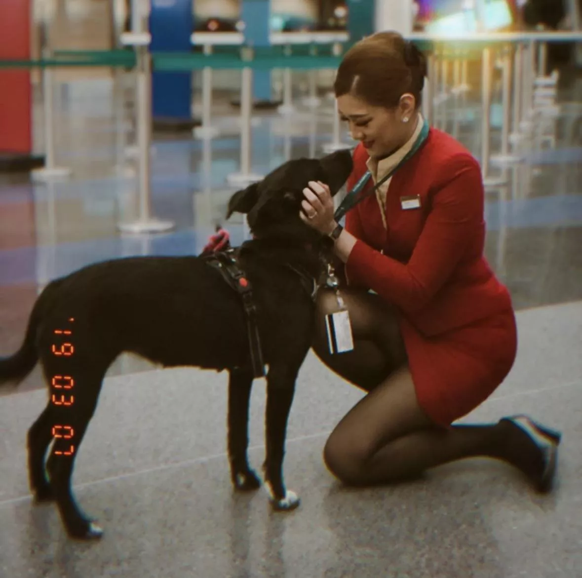 Cute puppy posted by arrayoutofbounds