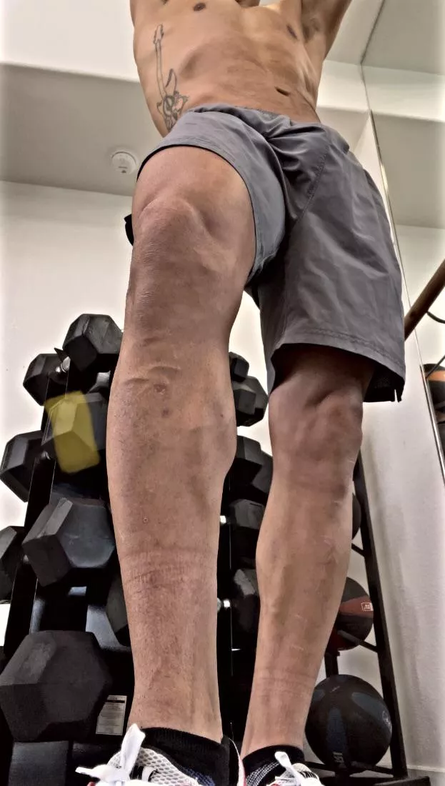 Don’t stop looking at it posted by Luicitos