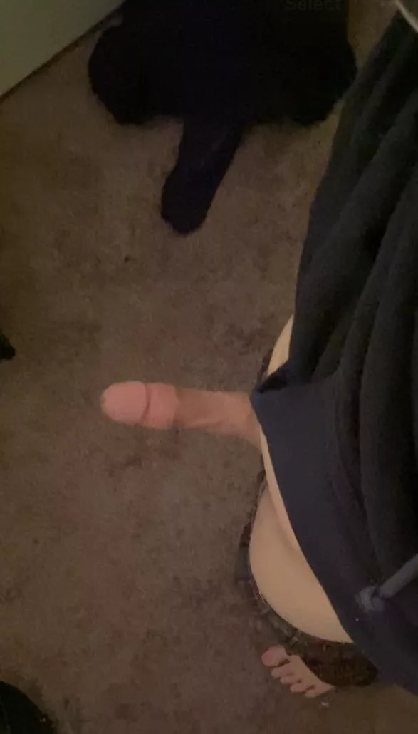 hard as fuck today posted by Tasty-Delay-4769