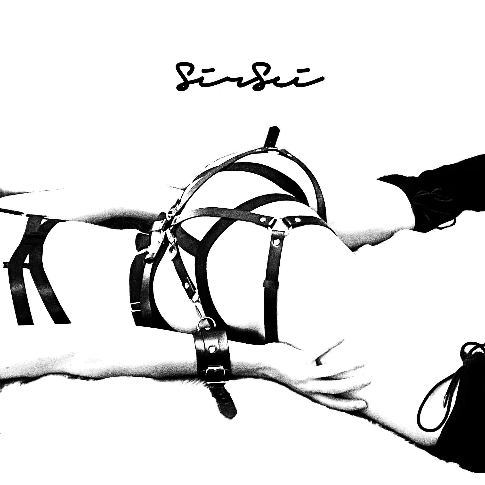 ✖︎ HARNESSED ✖︎ posted by TheSirSei