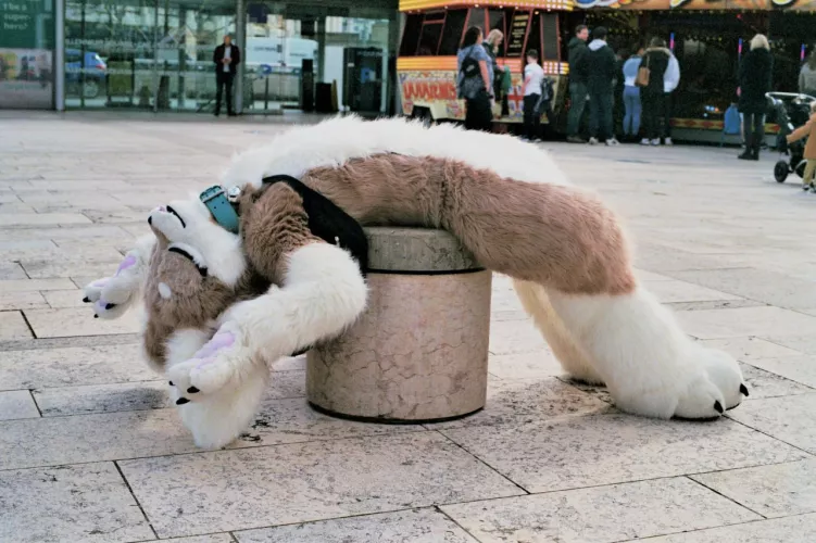 He just so eepy by hedonic_waffles