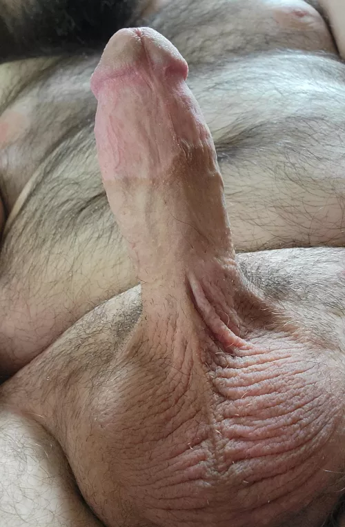 Hello Reddit! by cuddlebearmal