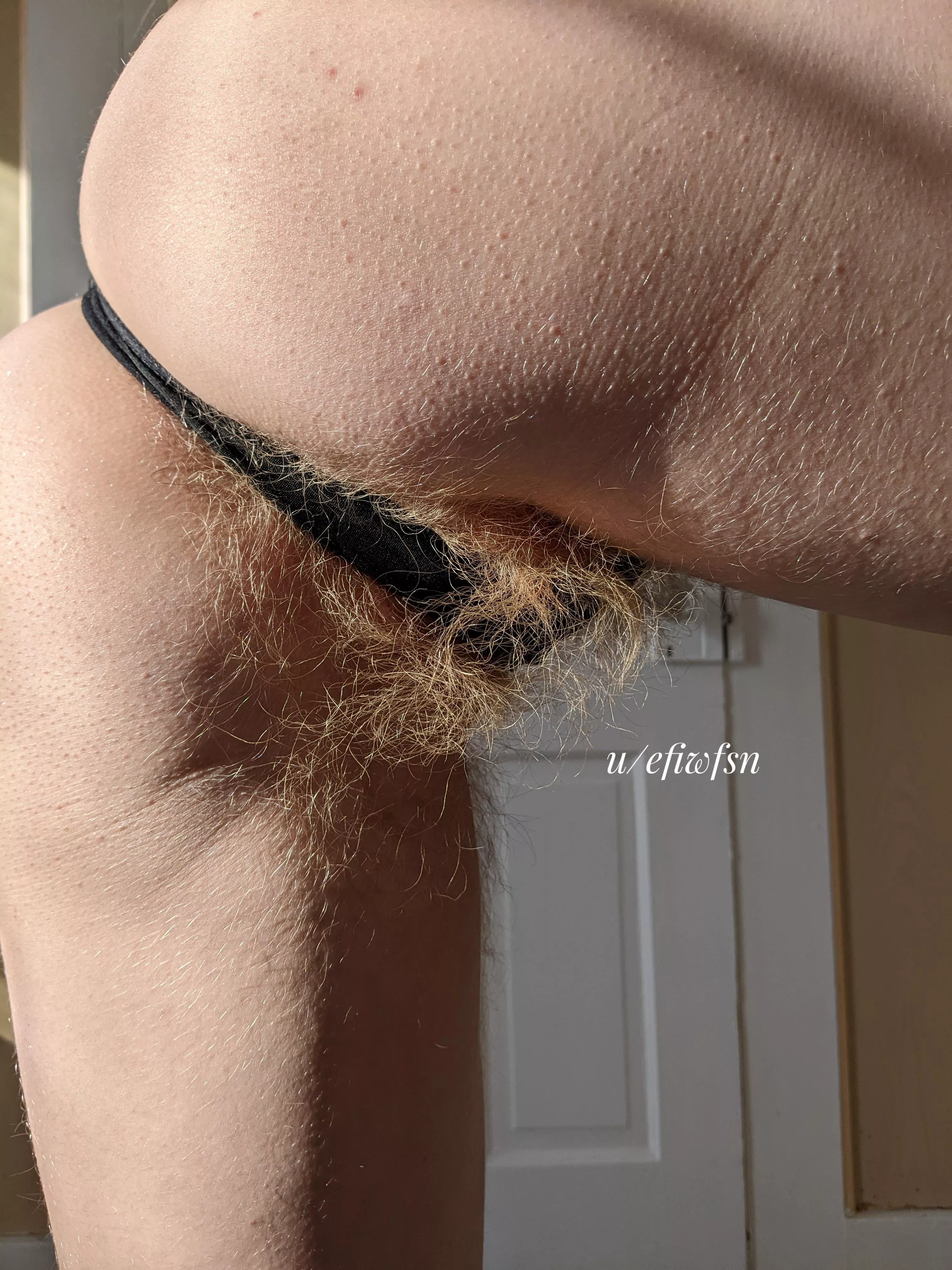 I've got more hair on my asshole than you could ever imagine posted by efiwfsn