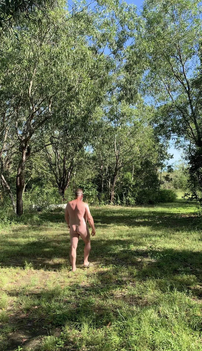 Just out for a walk. posted by redditnewbie47