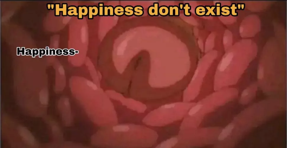 LF Color Source: “Happiness don’t exist”, “Happiness-“, uncensored, video screengrab, penetration, x-ray, raw penetration, penis head, vaginal walls by panpandog