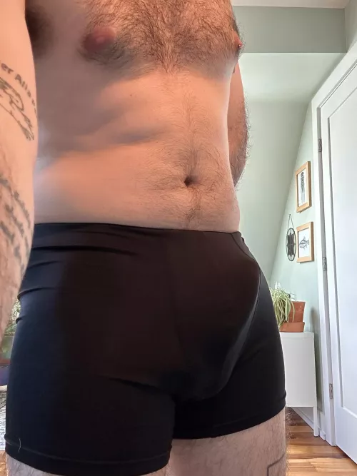 Nothing to see here by nelsonb349