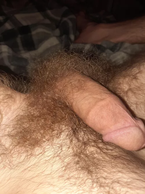 So glad I found this sub by hairylover3