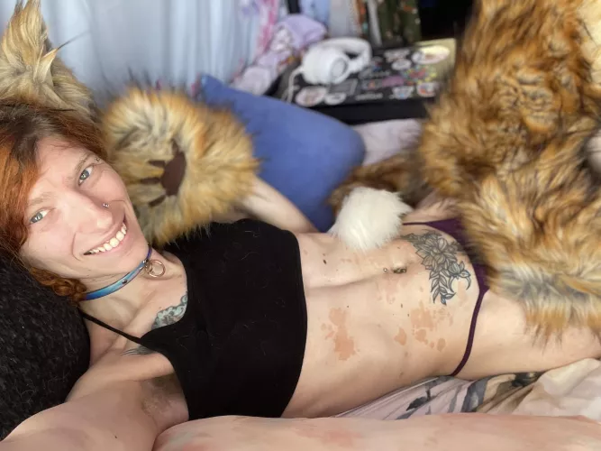 Someone please just make me a dumb fox by vutall