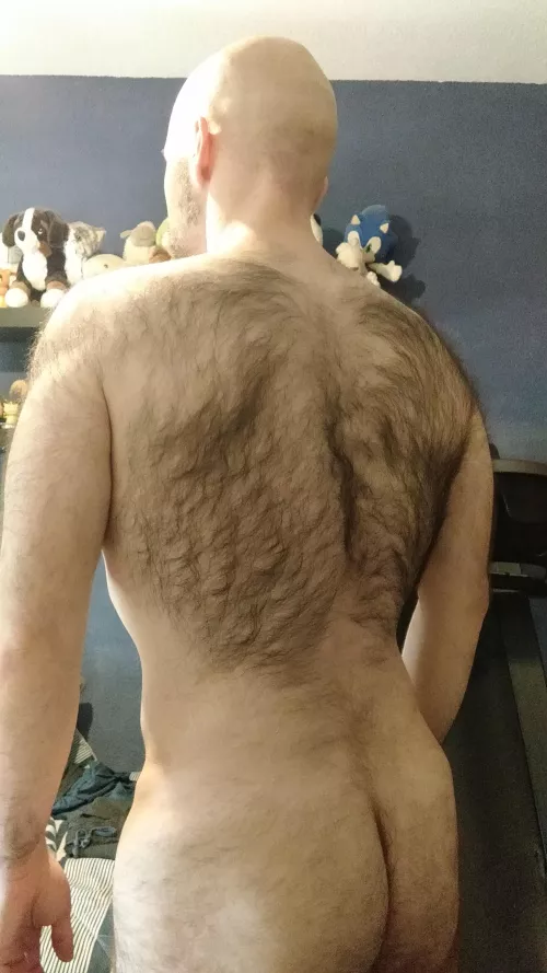 Spring has come by takethemoneyandrun88