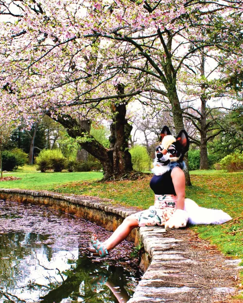 Stop and have a seat, you deserve a break 🌸 by muddy_moose