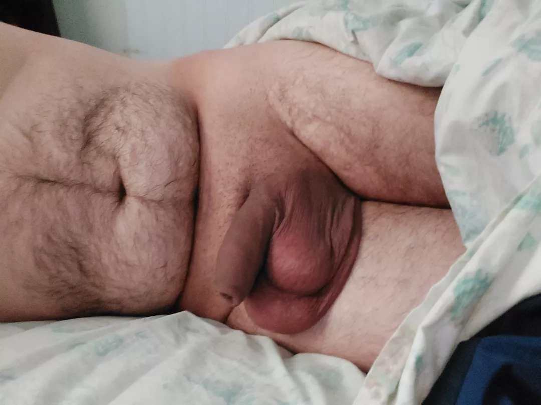 They're always full and massive in the morning posted by echoesfordays