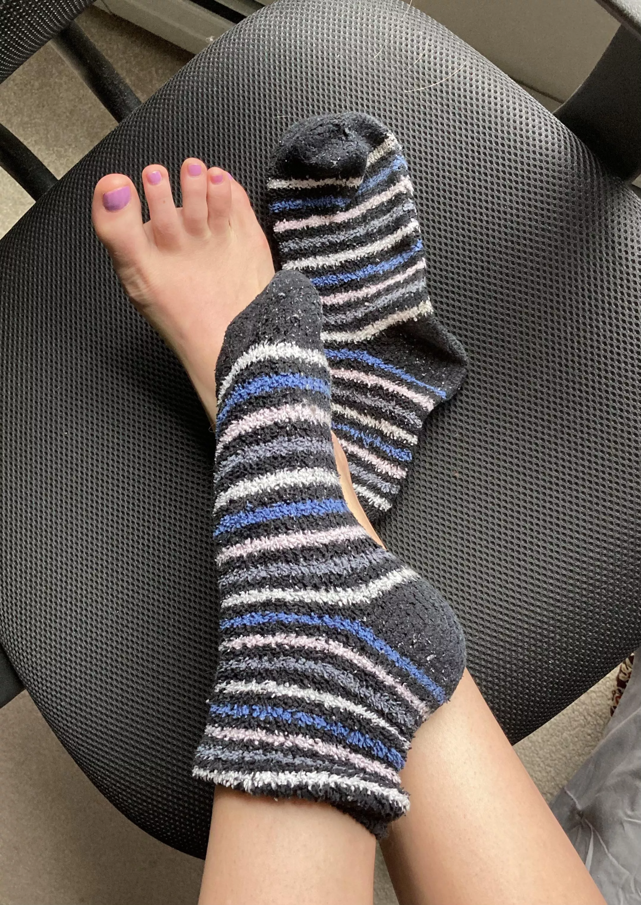 Too warm for fuzzies?! 🥵😦 Get em while you can! posted by katslittlepiggies