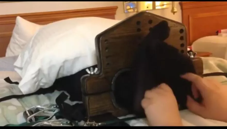 What studio is this? by Maximum-Forever-8108