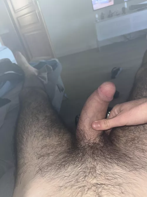 20 who help me ? Sc bernadgaut2785 by Latter-Bumblebee9550