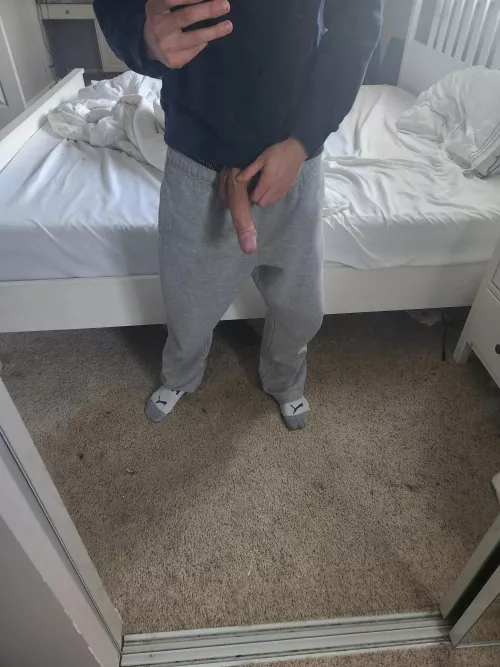 32 yr old hung bull by CanSoldier