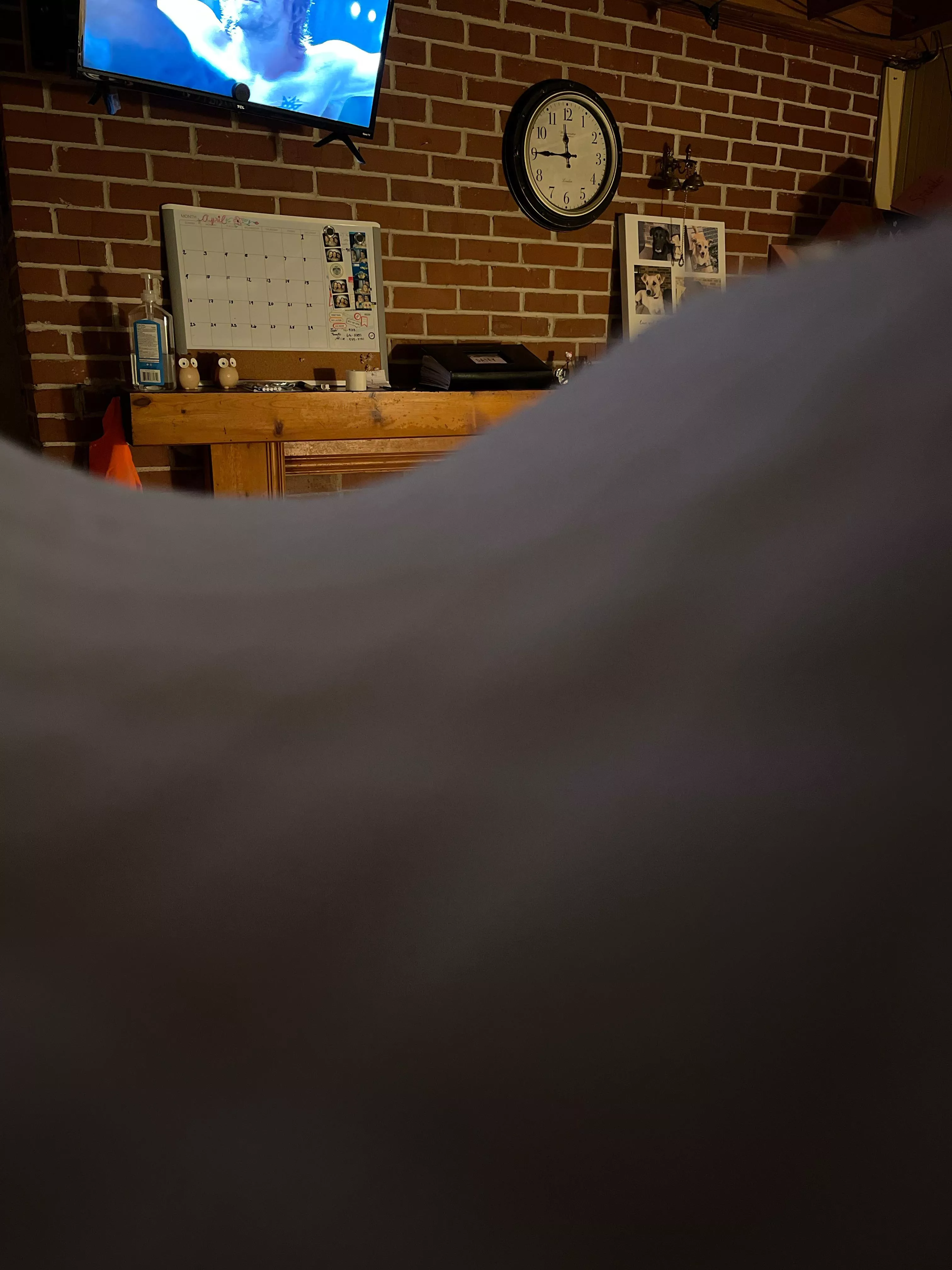 any body been with a dog or horse posted by Ordinary-Screen-7903