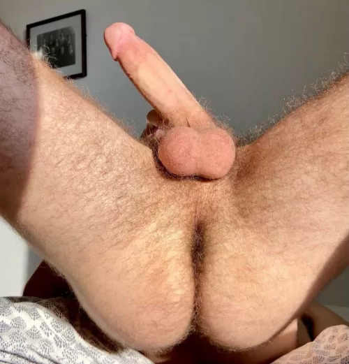 Ass! by ceasarguccio