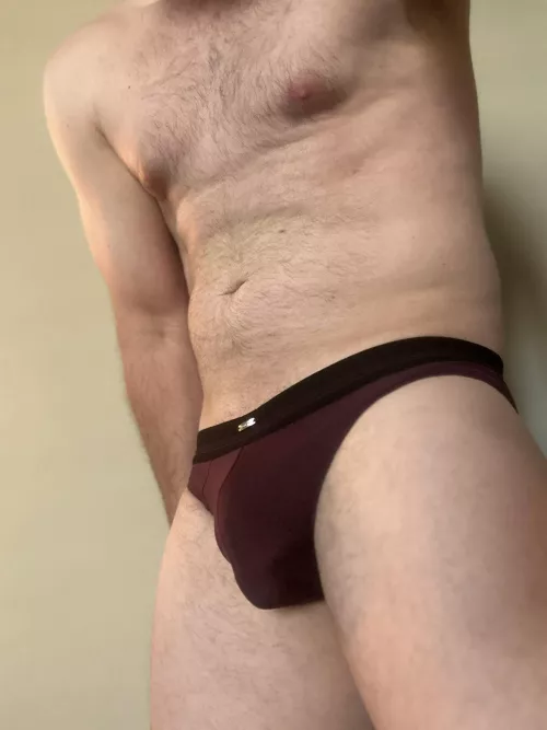 Briefs Bulge by BriefsError