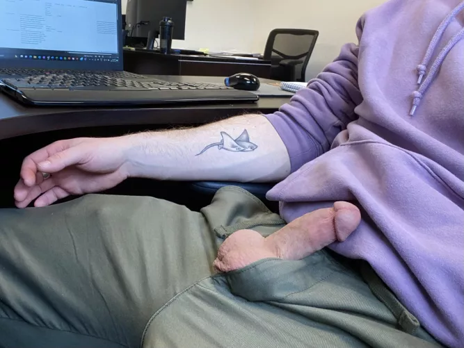 Brought my little ray out to the office today! (M) by Cariboostoner