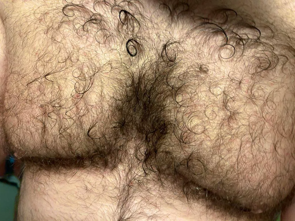 Curly hair bear posted by eyesup305