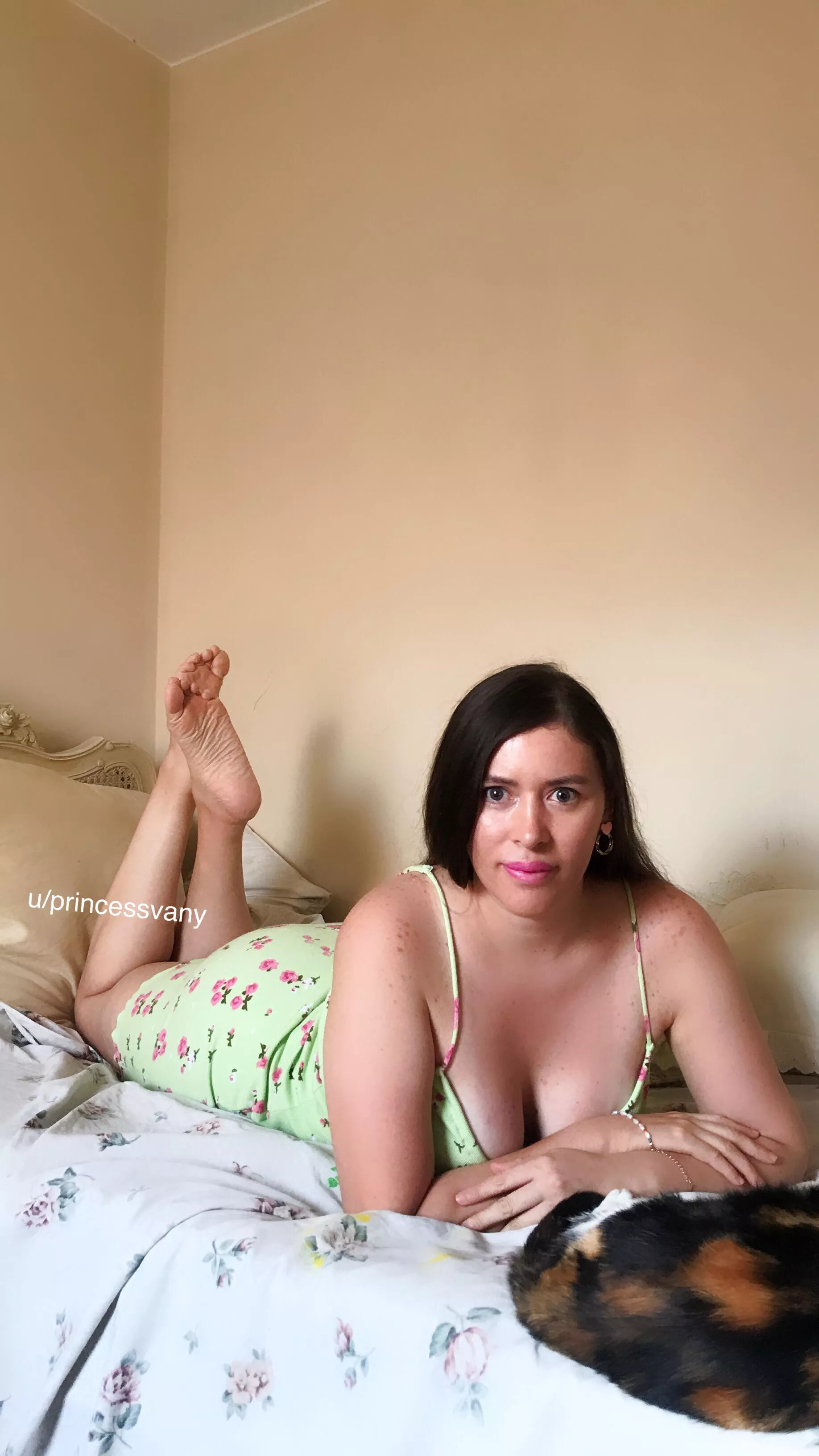 Do you prefer blondes or browns? posted by Princessvany