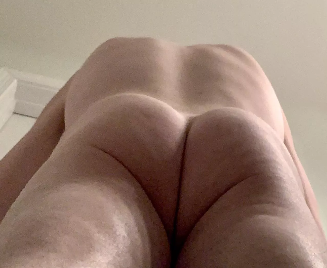 Happy day of the humps posted by KJ13116