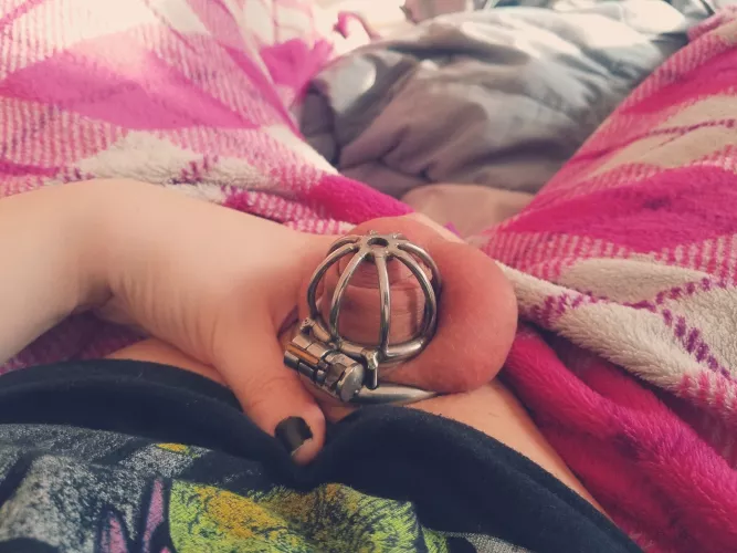 I barely even fill the cage by BoringKate