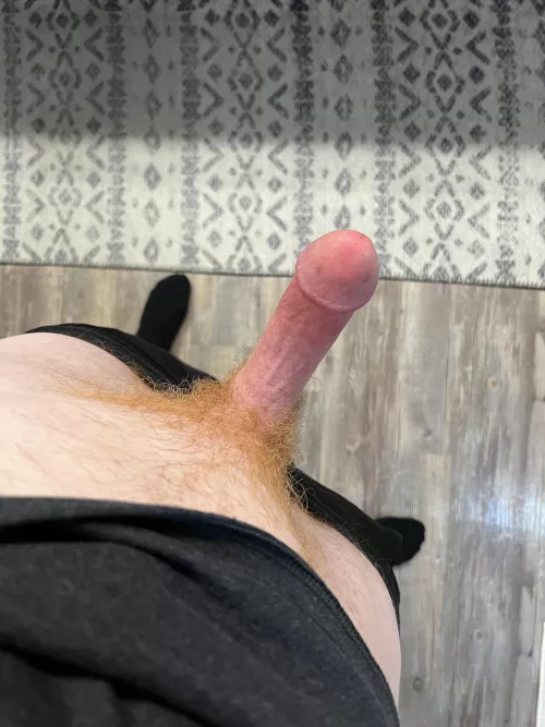 I’d say I’m pretty red all over. 😂 Ginger Cock here always open to chat with fellow Bi Bros or ladies with a love for Ginger Guys. by Electrical_Break_408