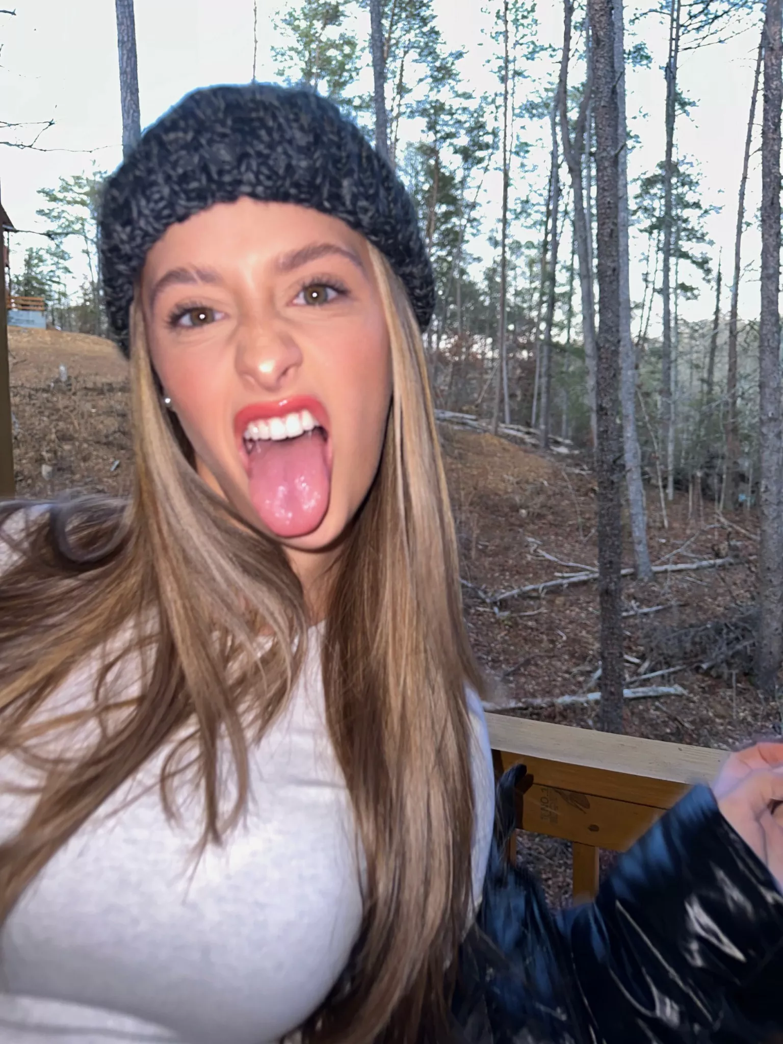 In the woods posted by Wallydinger123