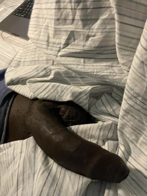 Lazy snake 🐍 by hornypurple