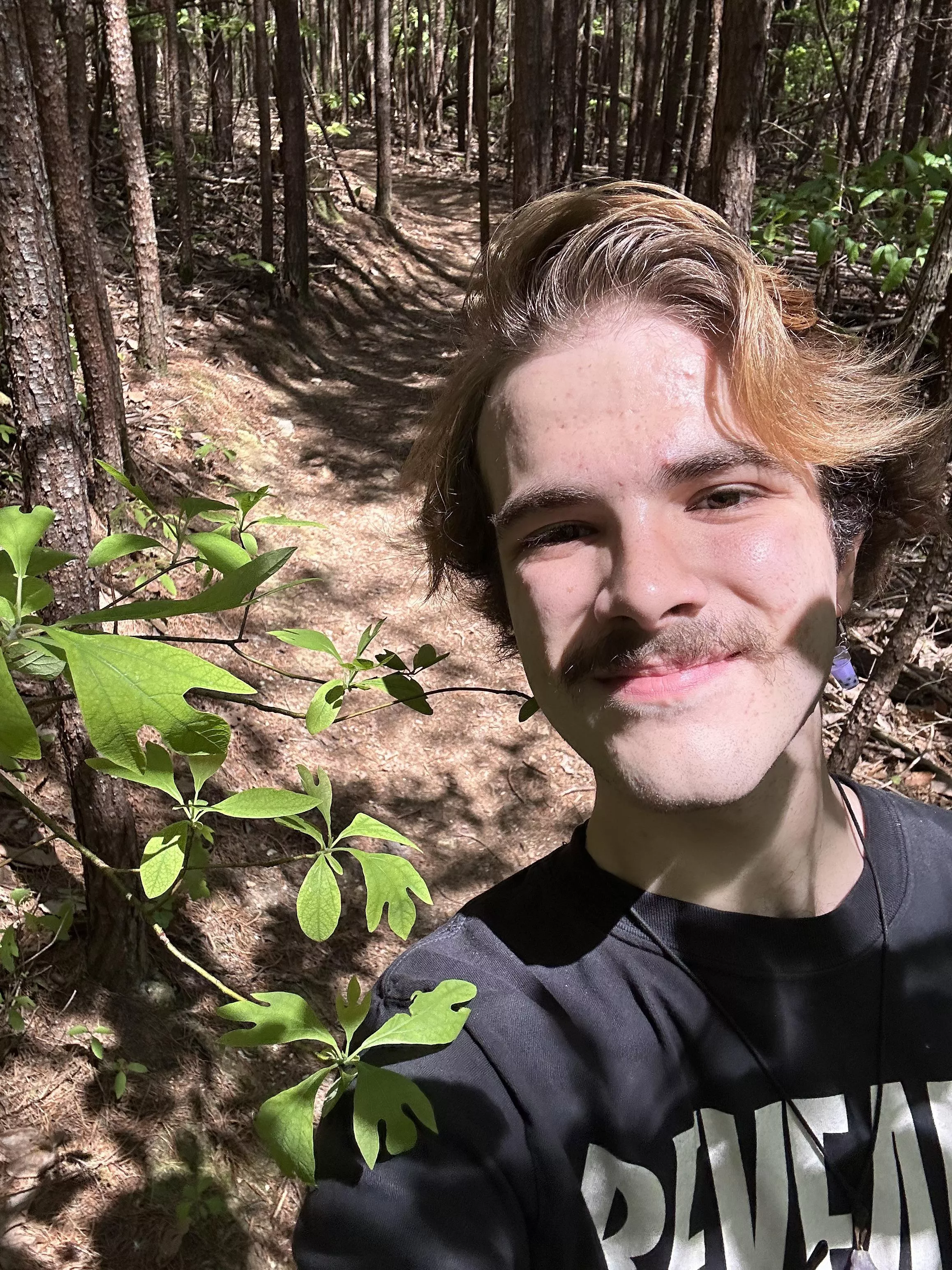 Me with my favorite tree species, Sassafras! posted by Alexxtyl