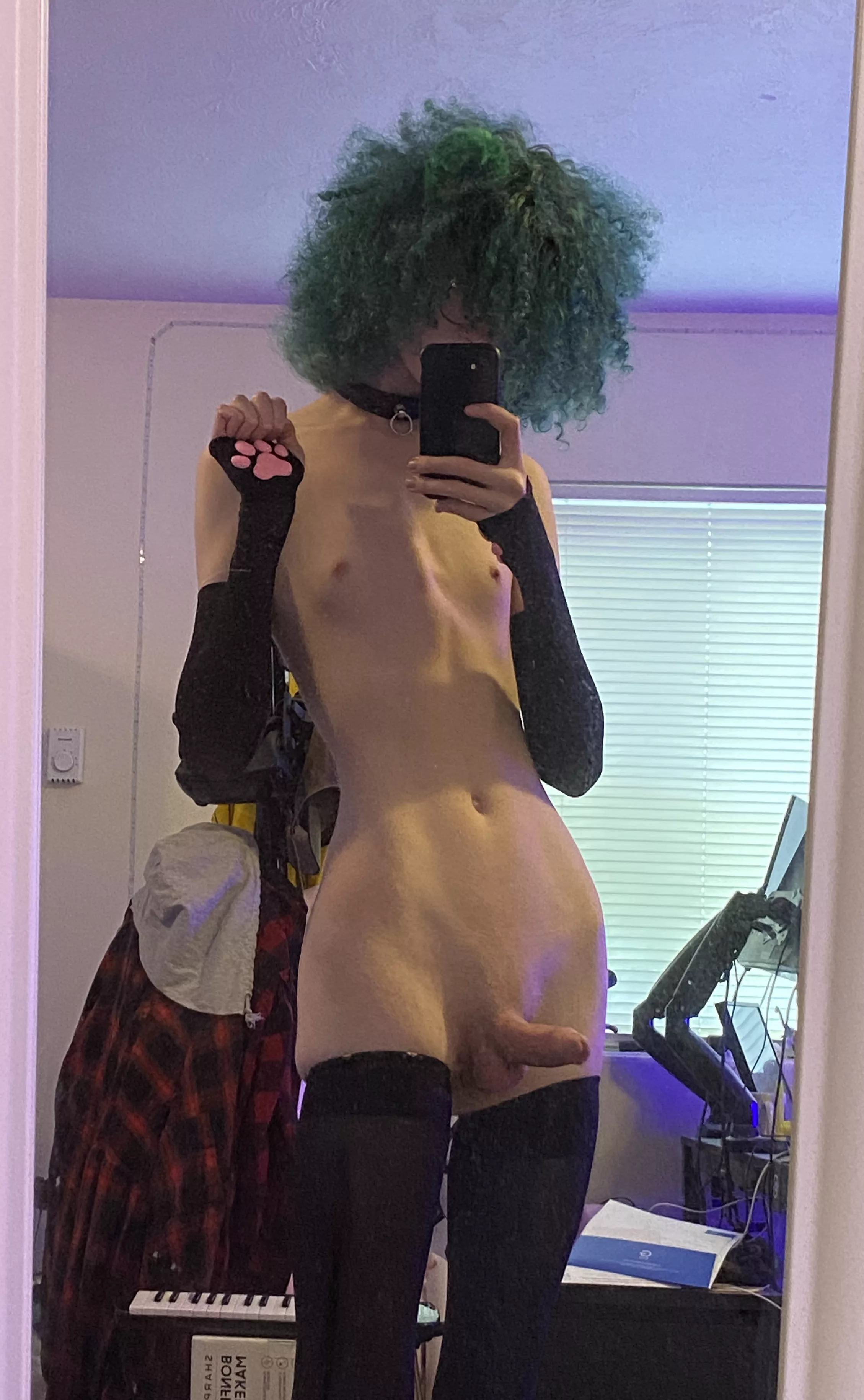 meow posted by v0idsquid