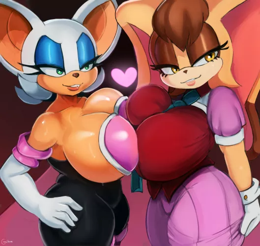 Rouge the Bat and Vanilla the Rabbit (Cranihum) by Ricky190