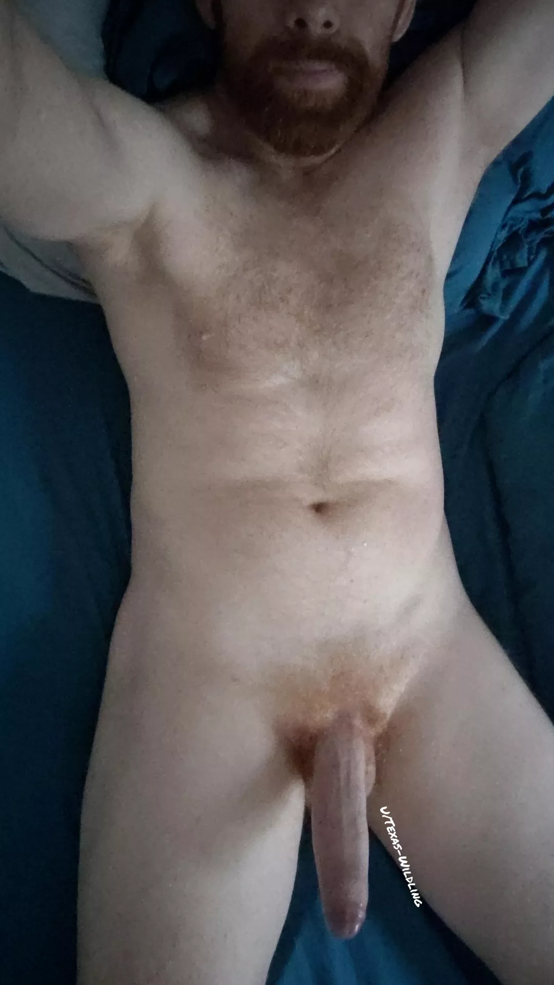 Sit on me... Face or beard, your choice posted by Texas-Wildling