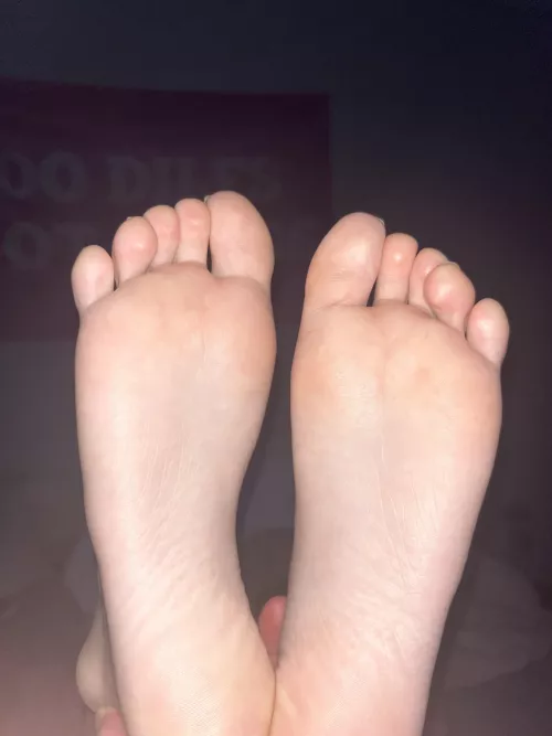 Sniff them through the screen by Big-Comfortable-5326