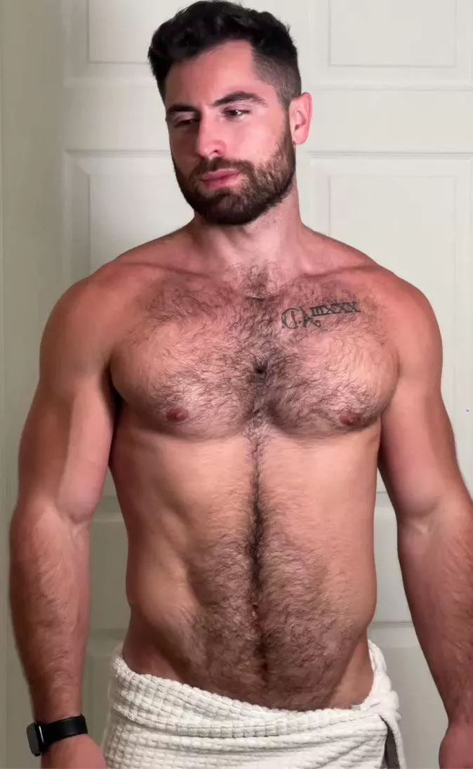 Virile Stag posted by Wolfprox