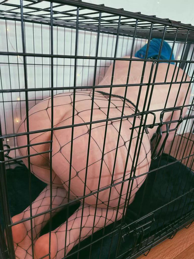 Your caged slut [F] posted by fxckava