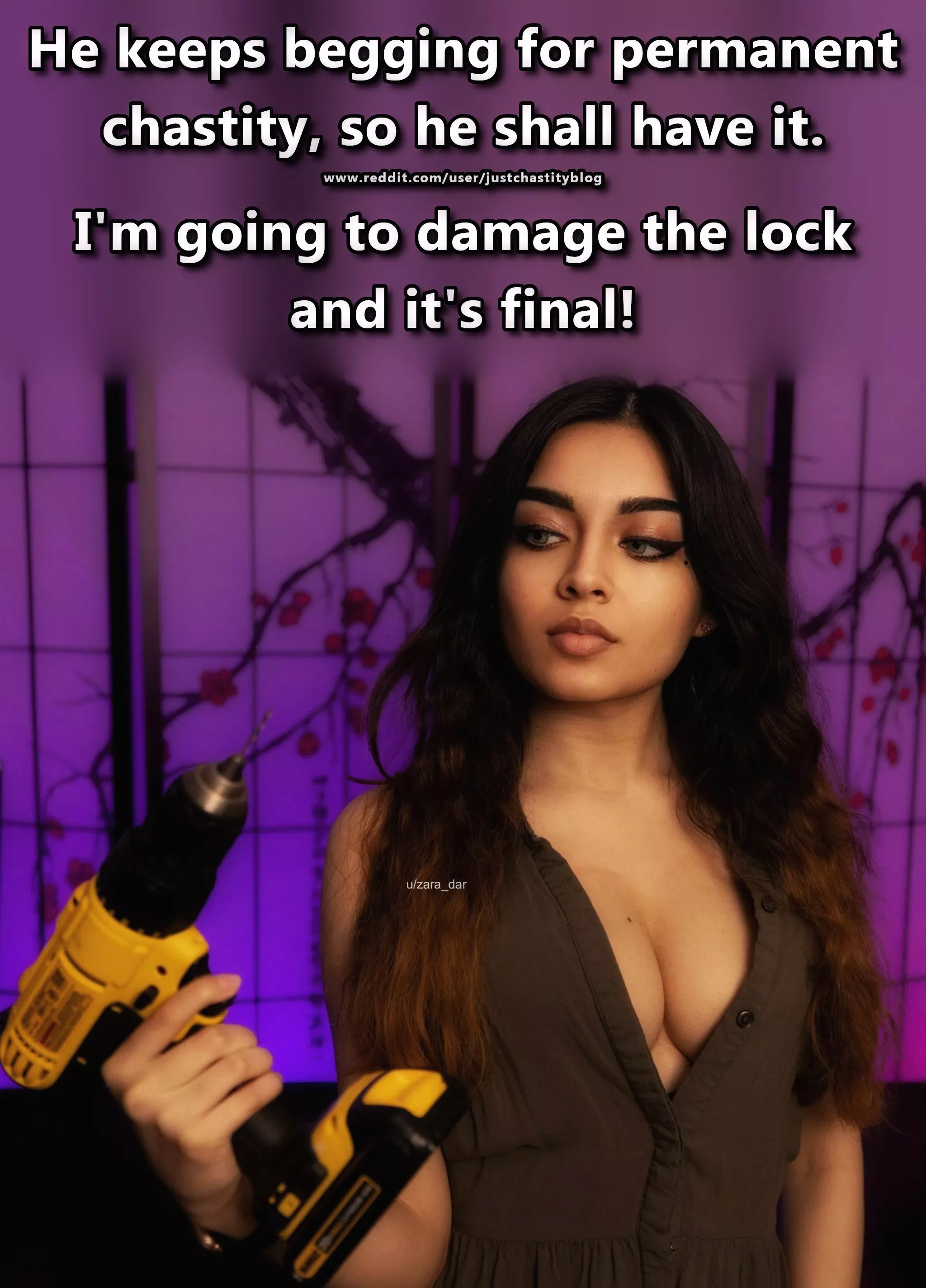 You've been bugging her long enough with this, now it's time to act! posted by justchastityblog