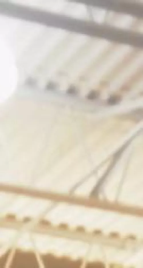 19 HUGE COCK. Sluts with nice asses add me. Anyone who thinks they have a massive cock add me. maxxz44 by bootydstroyer