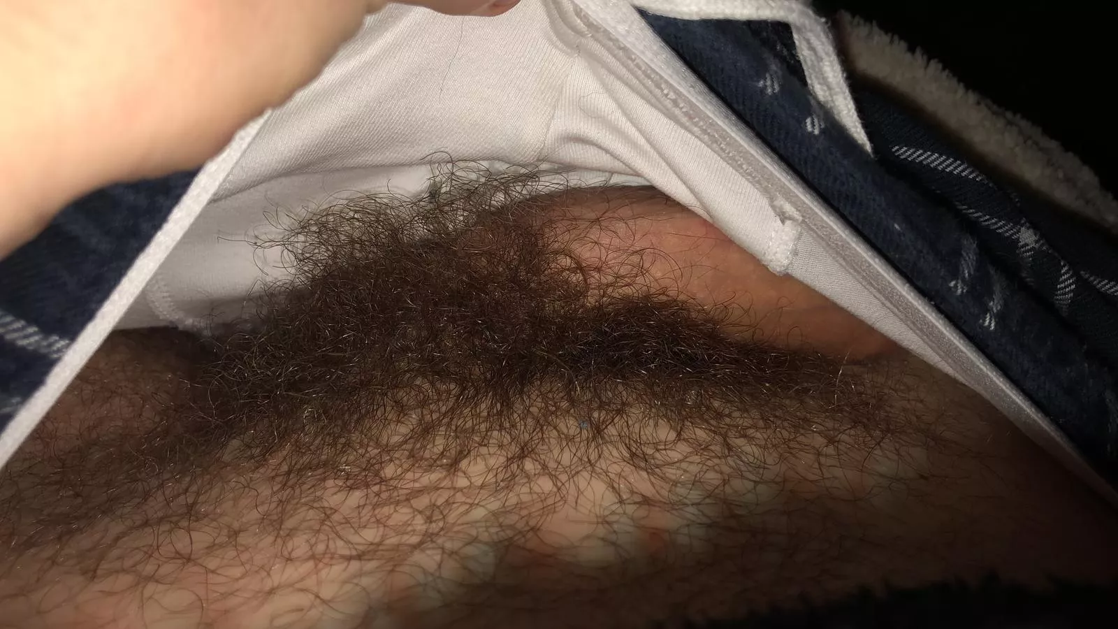 [30] m looking for hairy - bushy dicks with face for fun on Snapchat : Marc.boy23 posted by hairygayboy3
