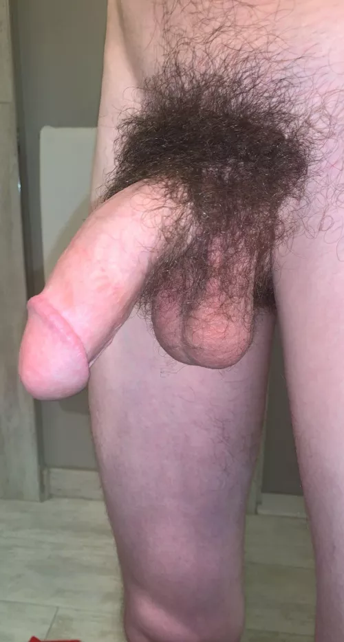 A bit hairy I know, but at least you get the balls along with it 😌 by slytherinwizard